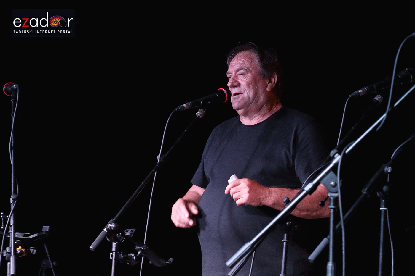 Koncert u čast bibinjskim herojima