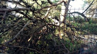 Nevera učinila veliku štetu i zadarskom azilu Nevera učinila veliku štetu i zadarskom azilu