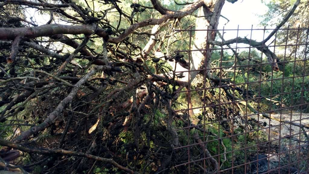 Nevera učinila veliku štetu i zadarskom azilu Nevera učinila veliku štetu i zadarskom azilu