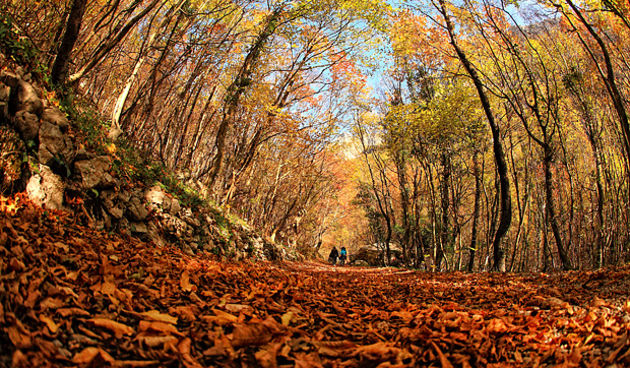 Boje jeseni u Paklenici, Foto: Leo Banić