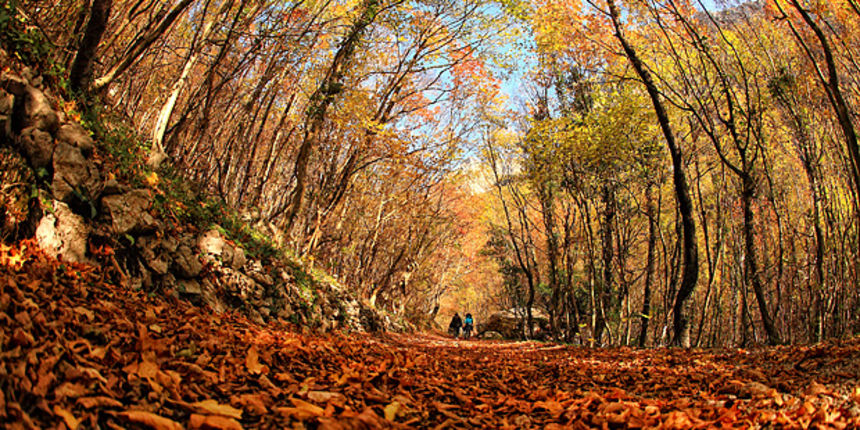 Boje jeseni u Paklenici, Foto: Leo Banić
