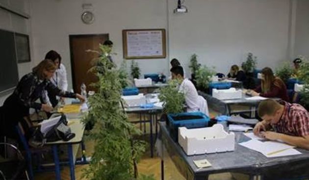 Škola Stanka Ožanića