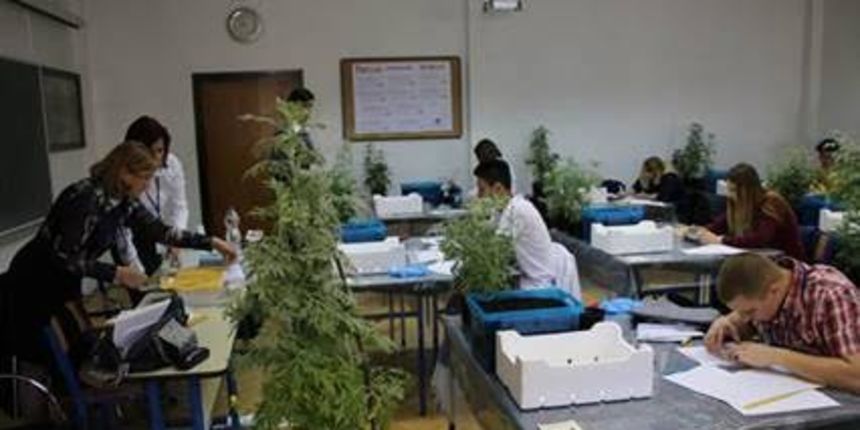 Škola Stanka Ožanića