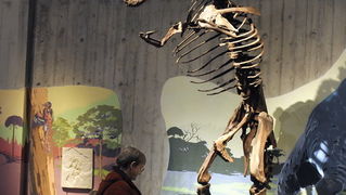 Krapina, 080210.
Novi Muzej krapinskog pracovjeka zavrsen je na svjetski poznatom lokalitetu Husnjakovo u Krapini. Krapinski je pracovjek proslavio hrvatsku znanost diljem svijeta.
Na slici: posjetitelj u razgledavanju.
Foto: Damir Krajac / CROPIX