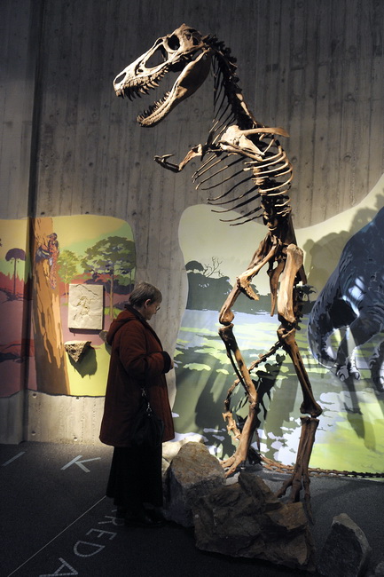 Krapina, 080210.
Novi Muzej krapinskog pracovjeka zavrsen je na svjetski poznatom lokalitetu Husnjakovo u Krapini. Krapinski je pracovjek proslavio hrvatsku znanost diljem svijeta.
Na slici: posjetitelj u razgledavanju.
Foto: Damir Krajac / CROPIX