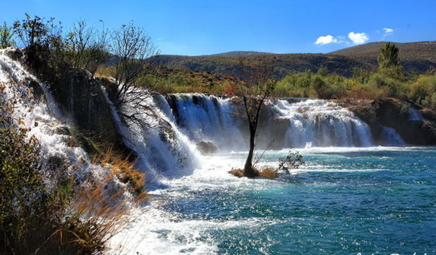 Đir do Ogarovog buka na Zrmanji, foto: Roberto Lerga