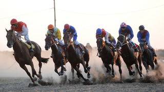 Zadar, 200811.
U Polaci na hipodromu Ravni kotari odrzane su 
14. Medjunarodne galopske konjicke utrke “Oluja 95”. 
Foto: Andrija Lucic / CROPIX