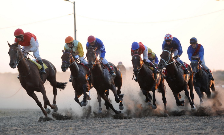Zadar, 200811.
U Polaci na hipodromu Ravni kotari odrzane su 
14. Medjunarodne galopske konjicke utrke “Oluja 95”. 
Foto: Andrija Lucic / CROPIX