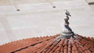 Pogled sa zvonika zadarske katedrale sv. Stošije, Foto: Dino Stanin/PIXSELL