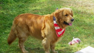 Prvosvibanjski izlet na Sveti Mihovil, Foto: Tomislav Ivanov