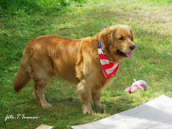Prvosvibanjski izlet na Sveti Mihovil, Foto: Tomislav Ivanov