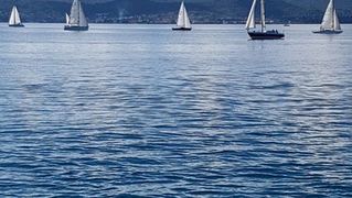 Zadarska Koka 2016. 22. listopada 2016. Foto: Mladen Malik Zadarska Koka 2016. 22. listopada 2016. Foto: Mladen Malik