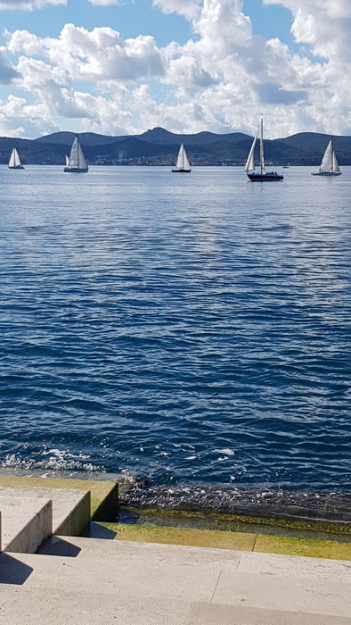 Zadarska Koka 2016. 22. listopada 2016. Foto: Mladen Malik Zadarska Koka 2016. 22. listopada 2016. Foto: Mladen Malik