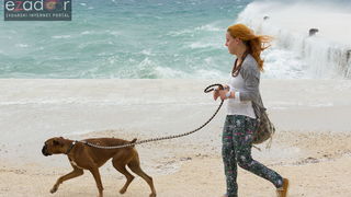 Đir po gradu 26. travnja 2017. Đir po gradu 26. travnja 2017.