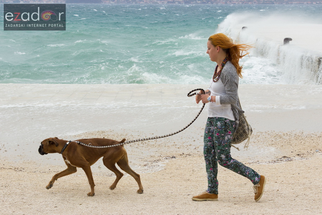 Đir po gradu 26. travnja 2017. Đir po gradu 26. travnja 2017.