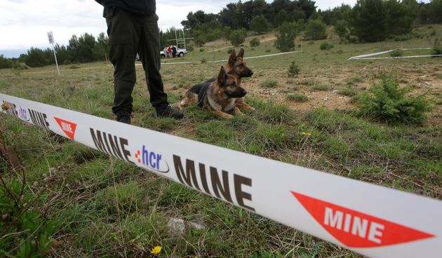 11. medjunarodni simpozij MINE ACTION 2014 odrzan je na podrucju nekadasnje vojne baze Sepurine, gdje su predstavljeni nacini u razminiravanju. Photo: Filip Brala/PIXSELL