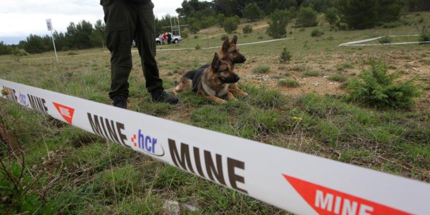 11. medjunarodni simpozij MINE ACTION 2014 odrzan je na podrucju nekadasnje vojne baze Sepurine, gdje su predstavljeni nacini u razminiravanju. Photo: Filip Brala/PIXSELL