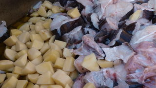 Kualjska tunuara 2010, Foto: Vedran Penga