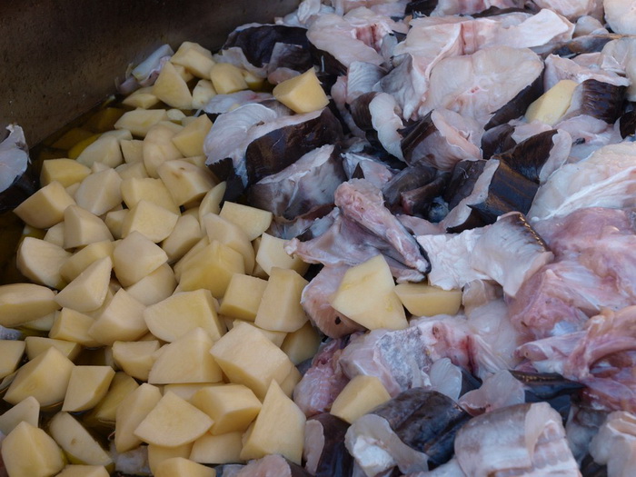 Kualjska tunuara 2010, Foto: Vedran Penga