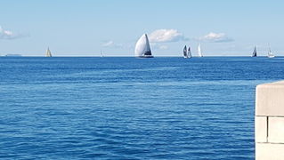 Zadarska Koka 2016. 22. listopada 2016. Foto: Mladen Malik Zadarska Koka 2016. 22. listopada 2016. Foto: Mladen Malik