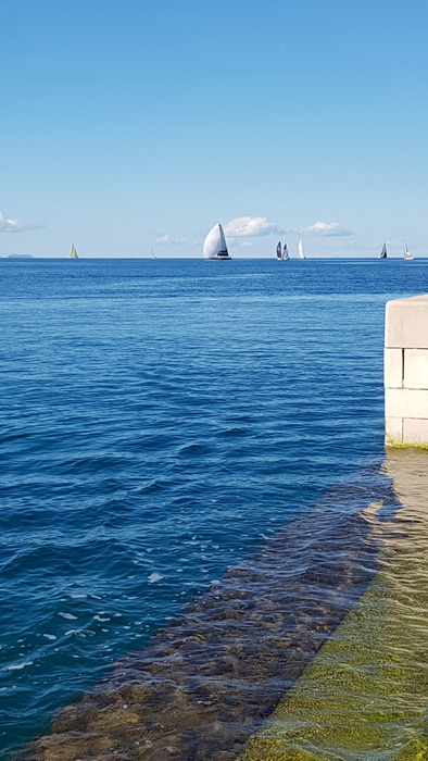 Zadarska Koka 2016. 22. listopada 2016. Foto: Mladen Malik Zadarska Koka 2016. 22. listopada 2016. Foto: Mladen Malik