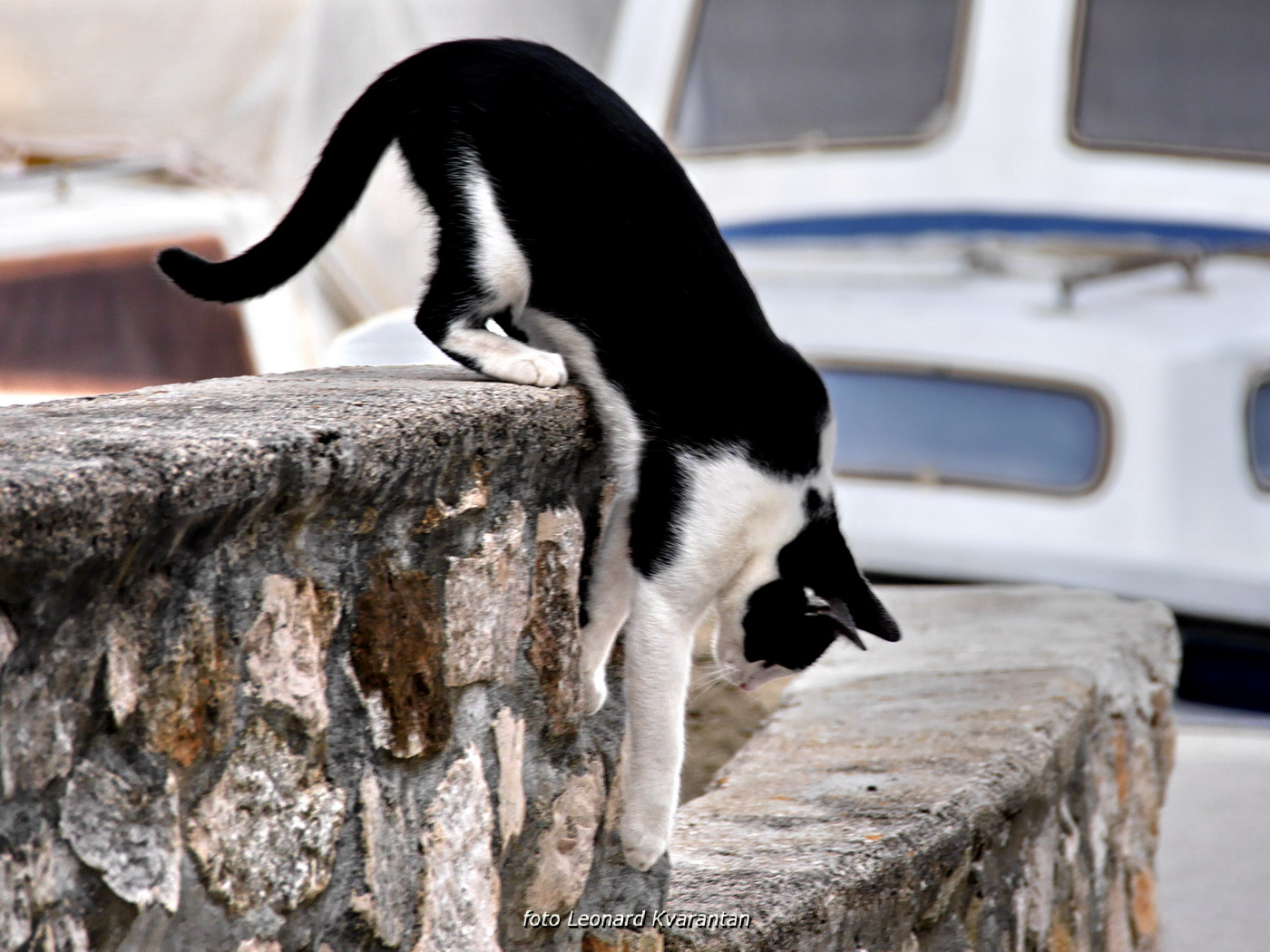 Iške crtice u objektivu Leonarda Kvarantana