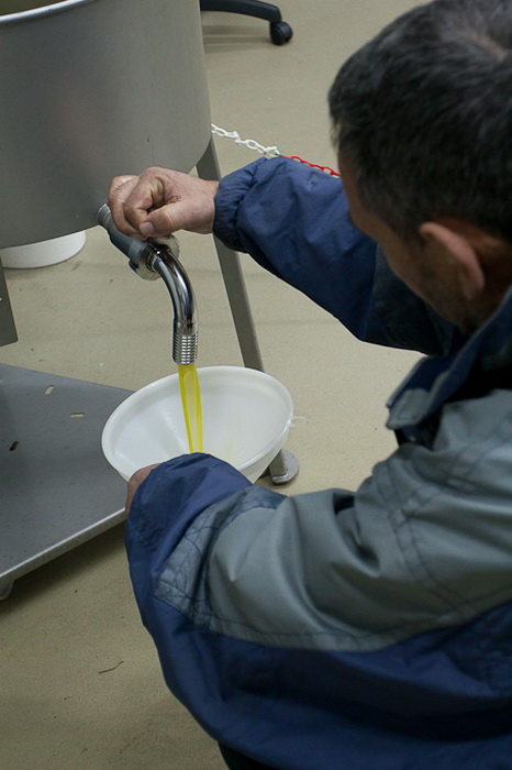 Put masline od stabla do djevicanskog ulja, Foto: Leo Banic Put masline od stabla do djevicanskog ulja, Foto: Leo Banic