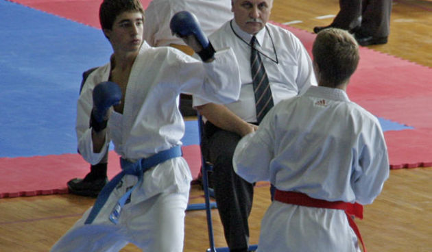 Karate (Foto: Marin Gospić)