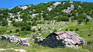 Velebit: Konji u Libinju