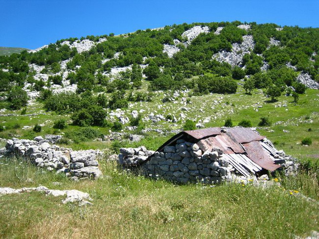 Velebit: Konji u Libinju