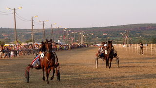 Polaca, utrke konja Oluja 95 Polaca, utrke konja Oluja 95