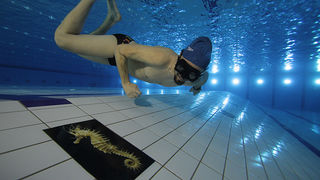 SC Višnjik: Podvodna izložba ronilačkog kluba “Roko” SC Višnjik: Podvodna izložba ronilačkog kluba “Roko”