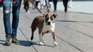 Đir po gradu, subotnja špica 9. ožujka 2019. Đir po gradu, subotnja špica 9. ožujka 2019.