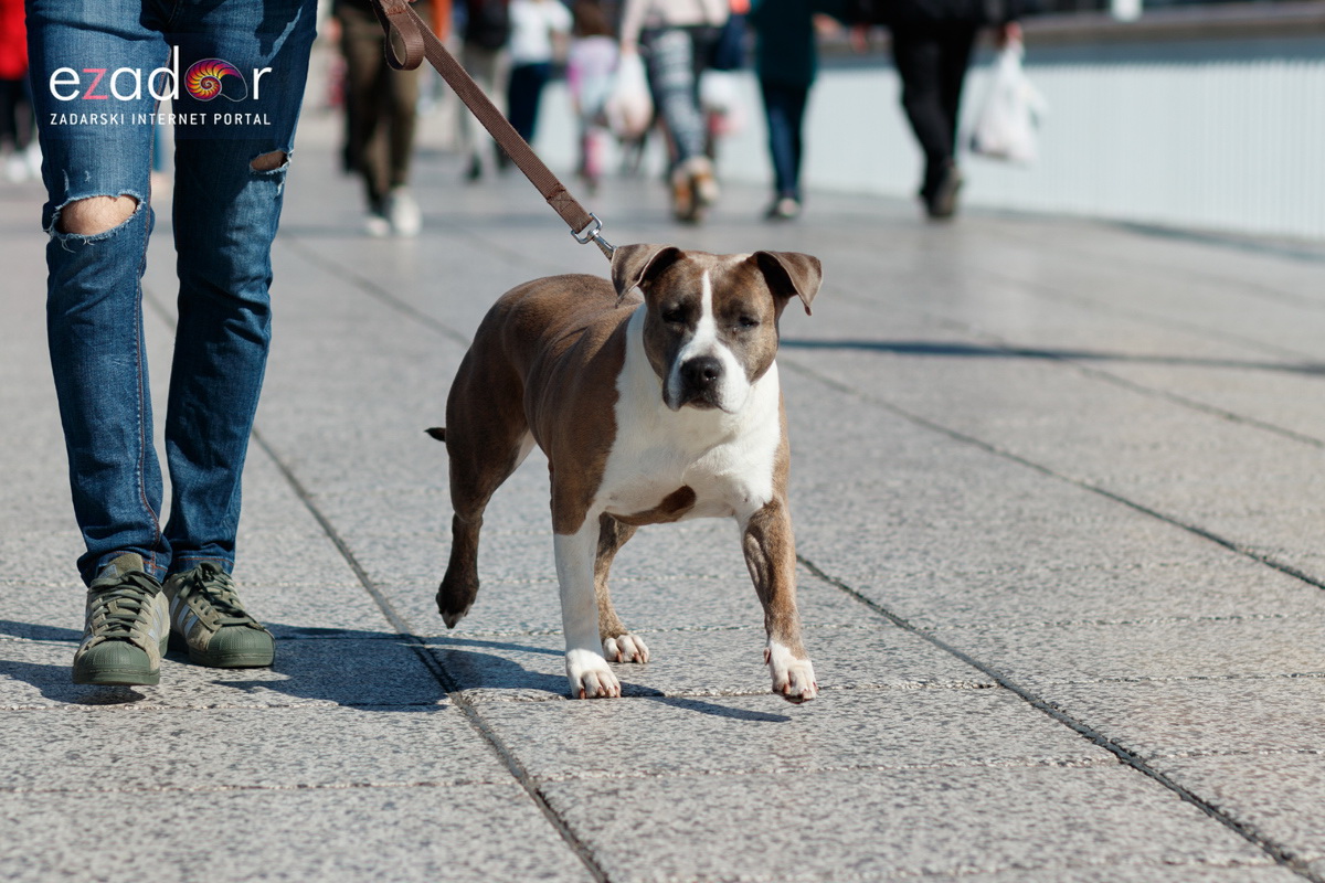 Đir po gradu, subotnja špica 9. ožujka 2019. Đir po gradu, subotnja špica 9. ožujka 2019.