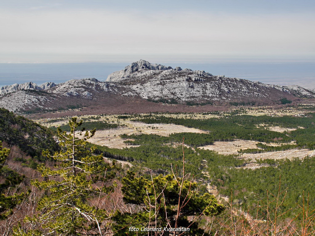 Veliko Rujno – Buljma – Struge