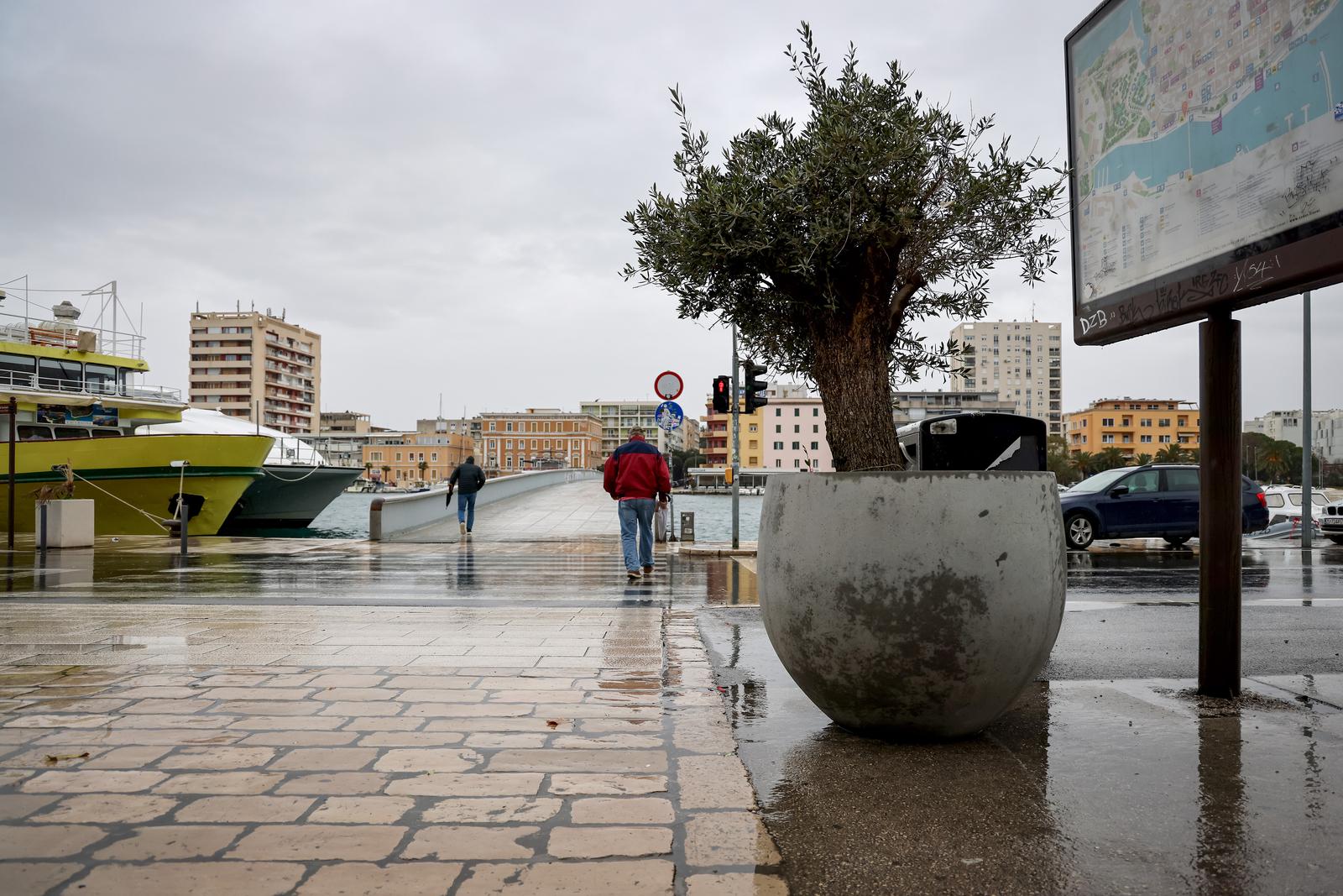 Maslina u velikoj i teškoj tegli preko noći “prošetala” do gradskog mosta Maslina u velikoj i teškoj tegli preko noći “prošetala” do gradskog mosta