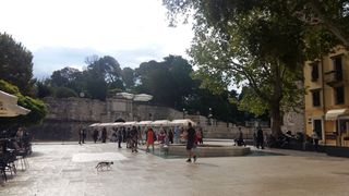 Sajam smokava na Trgu Petra Zoranića Sajam smokava na Trgu Petra Zoranića