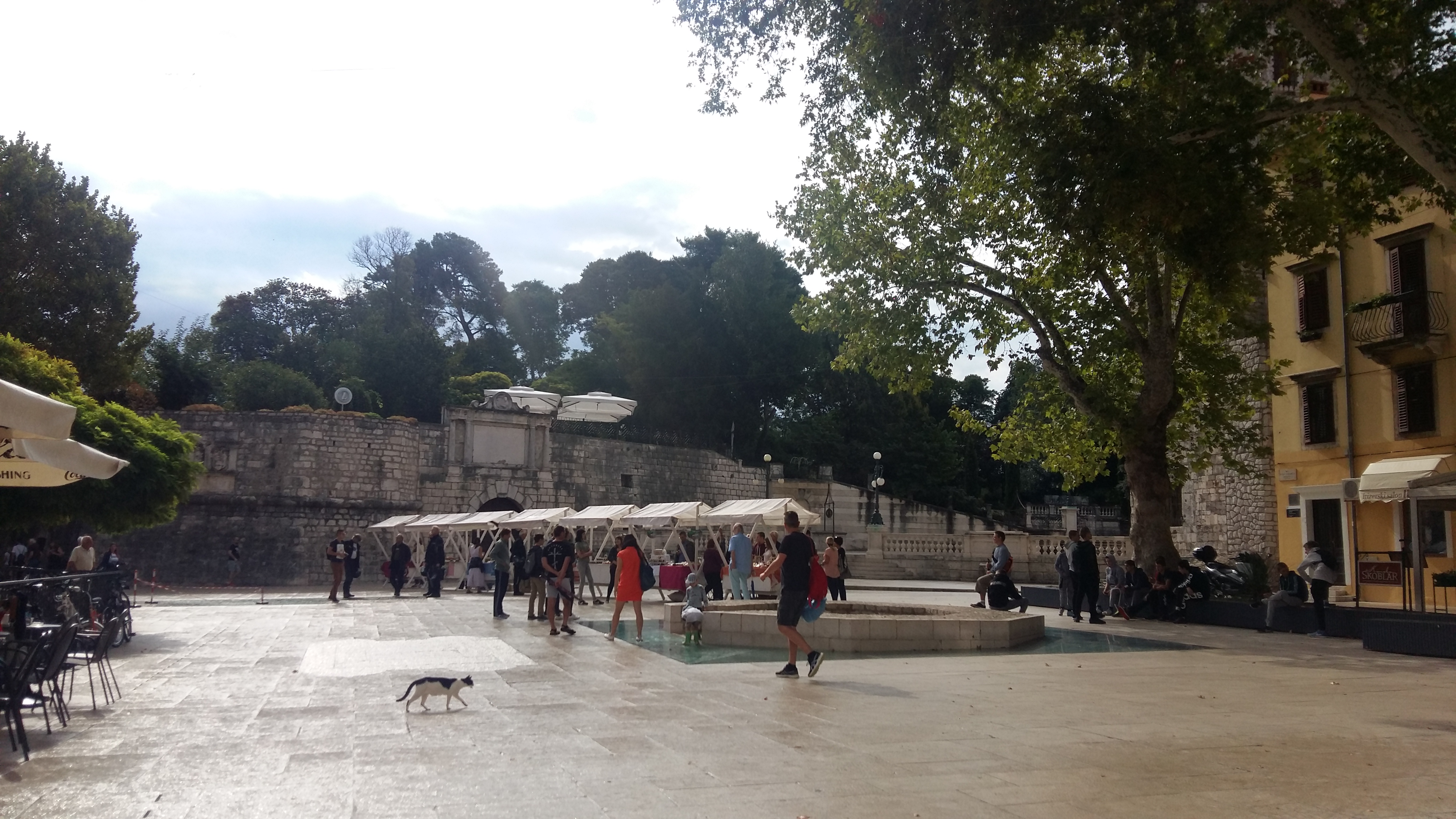 Sajam smokava na Trgu Petra Zoranića Sajam smokava na Trgu Petra Zoranića