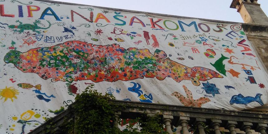 Lipa naša Komoševa Lipa naša Komoševa