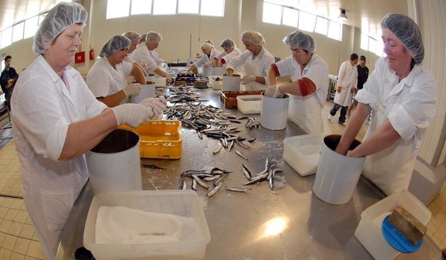 Pogon za preradu ribe u tvornici “Ostrea” u poslovnoj zoni Stankovci gdje se proizvodi usoljena riba za talijansko trziste. Photo: Dino Stanin/Vecernji list