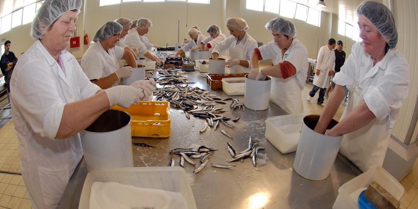 Pogon za preradu ribe u tvornici “Ostrea” u poslovnoj zoni Stankovci gdje se proizvodi usoljena riba za talijansko trziste. Photo: Dino Stanin/Vecernji list