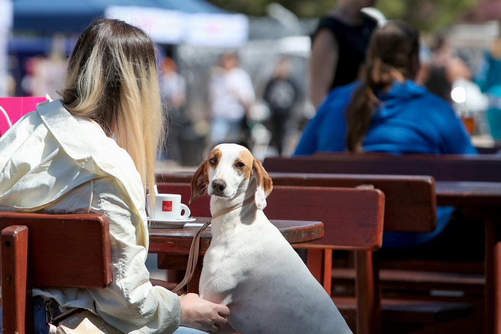 Međunarodna izložba pasa CACIB 2023