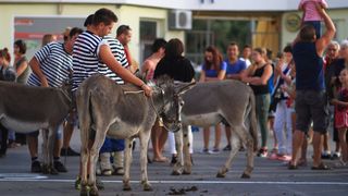 Trka Tovarov – 48. Memorijal Kenje Vijole Sukošan  Photo: Leo Banić