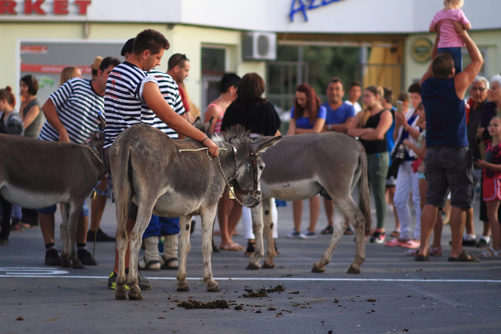 Trka Tovarov – 48. Memorijal Kenje Vijole Sukošan  Photo: Leo Banić