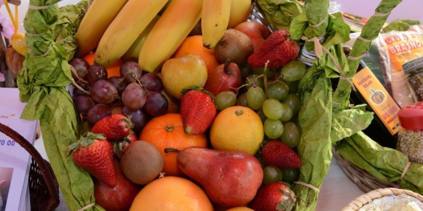 Slavonske osnovnoškolce podučavat će se navikama koje pospješuju zdravlje, foto: pixsell.hr Slavonske osnovnoškolce podučavat će se navikama koje pospješuju zdravlje, foto: pixsell.hr