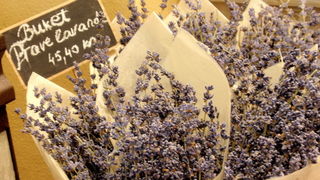 Otvorenje L’Occitane trgovine u Zadru, foto: Karla Otvorenje L’Occitane trgovine u Zadru, foto: Karla