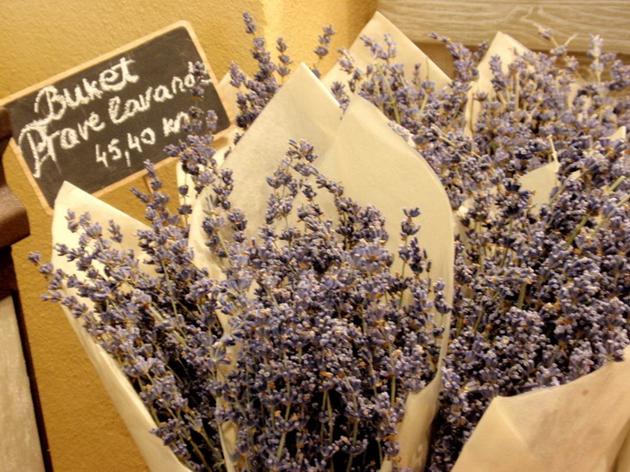 Otvorenje L’Occitane trgovine u Zadru, foto: Karla Otvorenje L’Occitane trgovine u Zadru, foto: Karla