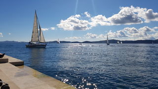 Zadarska Koka 2016. 22. listopada 2016. Foto: Mladen Malik Zadarska Koka 2016. 22. listopada 2016. Foto: Mladen Malik