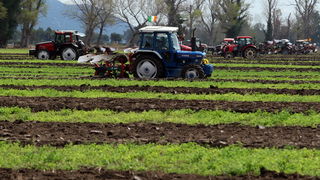 Jankolovica, Biograd, 150912. 
U Jankolovici kraj Biograda odrzan je drugi dan 59. Svjetskog prvenstva u oranju. Ovo natjecanje u oranju odrzava se od 1953. godine, a Hrvatska se ukljucila 2005. godine.
Na fotografiji: detalj s manifestacije. 
Foto: Jure
