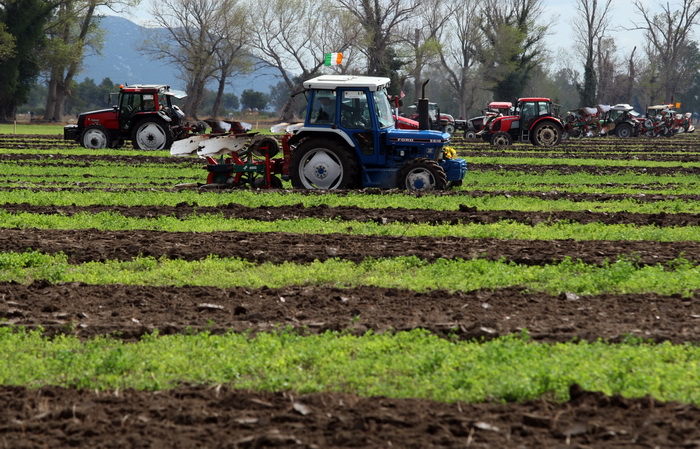 Jankolovica, Biograd, 150912. 
U Jankolovici kraj Biograda odrzan je drugi dan 59. Svjetskog prvenstva u oranju. Ovo natjecanje u oranju odrzava se od 1953. godine, a Hrvatska se ukljucila 2005. godine.
Na fotografiji: detalj s manifestacije. 
Foto: Jure